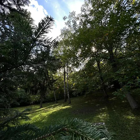 Zonamita House 別荘 Velika Remeta