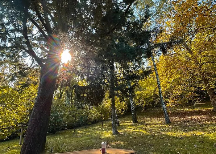 בית נופש Zonamita House *